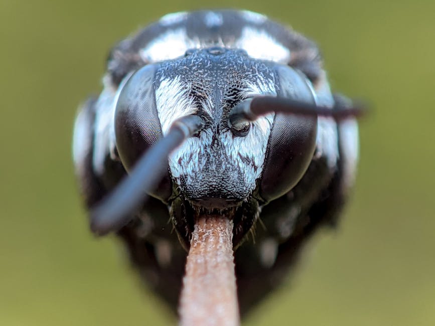 Thermage 效果：探討其原理與實際成果