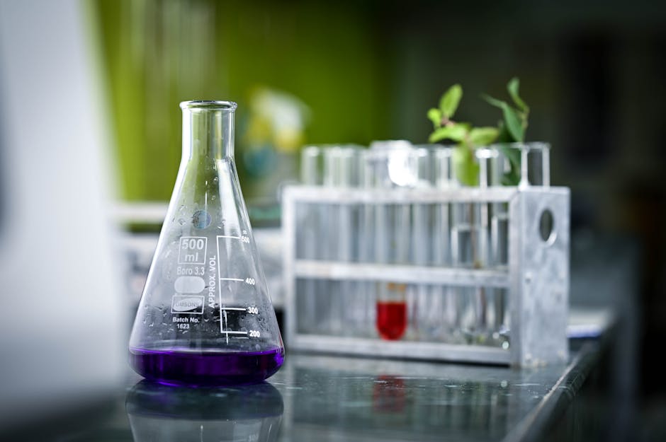 萃雞精的技術原理與健康價值解析