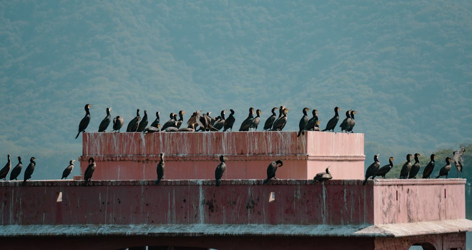 陪月課程的重要性與選擇指南