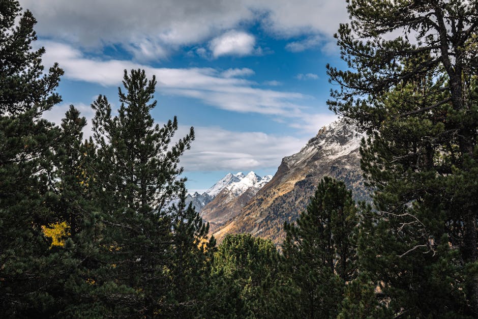 高爾夫球練習場的選擇與使用指導