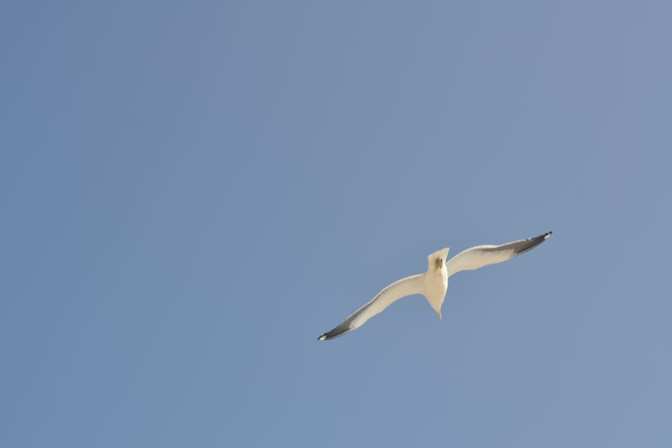 禮品訂製：文化的傳承與創意展現